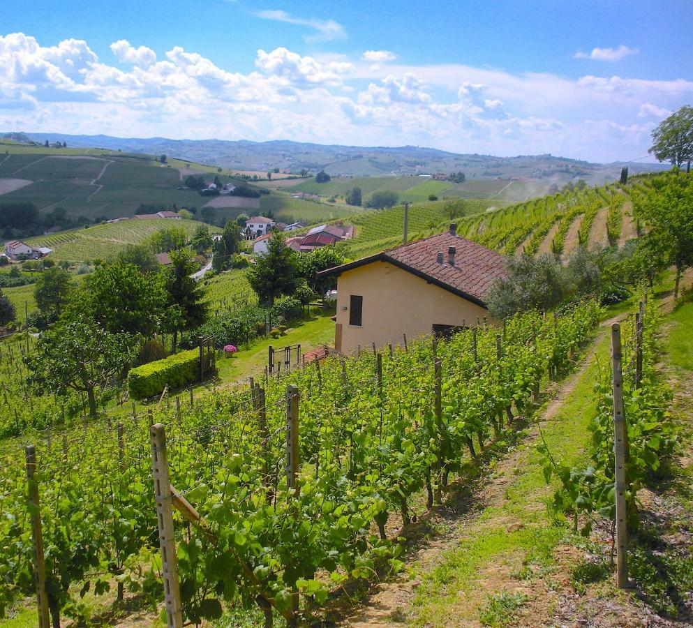 Cascina Tra I Vigneti A Nizza Monferrato Villa Eksteriør bilde