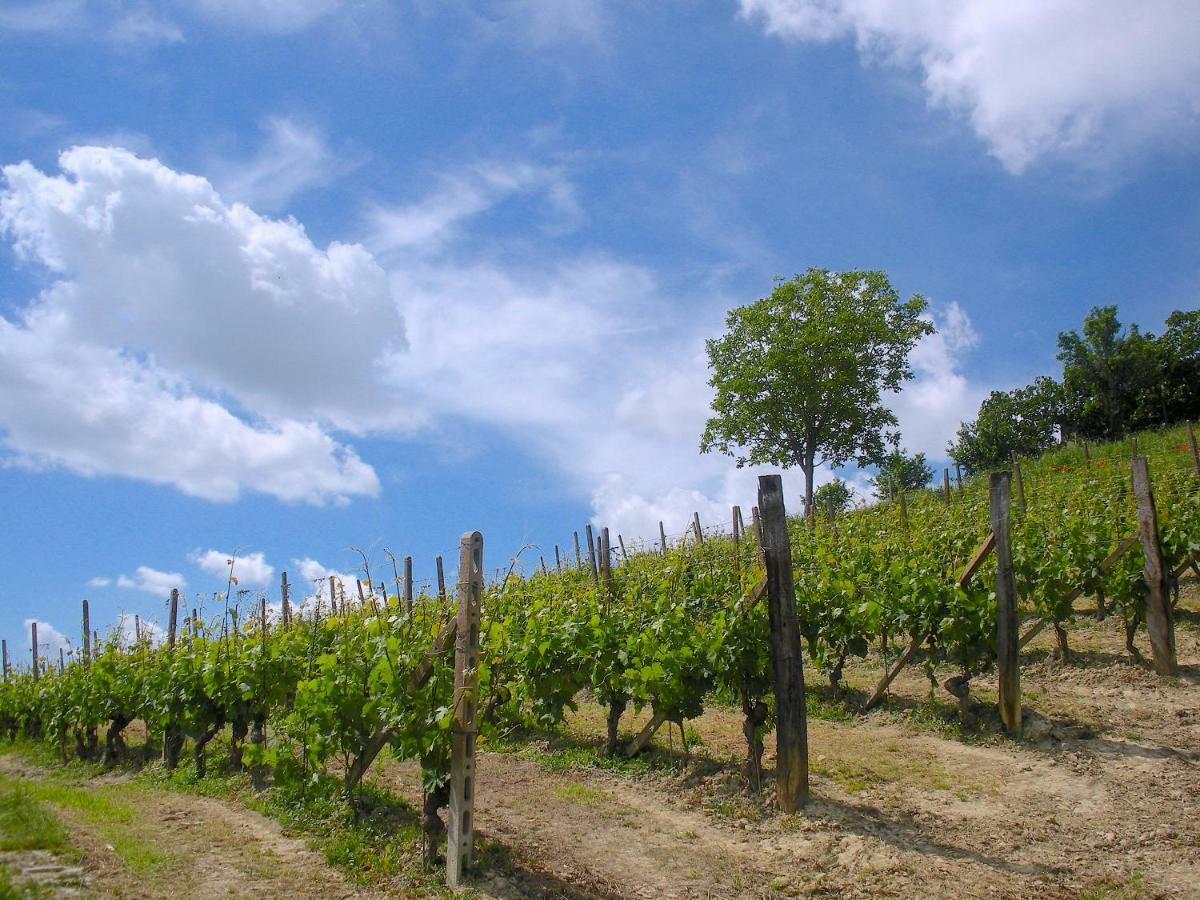 Cascina Tra I Vigneti A Nizza Monferrato Villa Eksteriør bilde