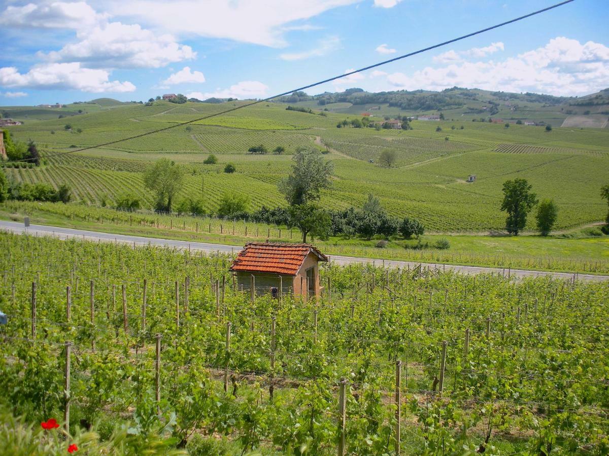 Cascina Tra I Vigneti A Nizza Monferrato Villa Eksteriør bilde